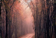 中国男篮国家队最新赛程官宣了吗？都有哪些重要比赛？