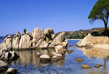 杜海勒足球俱乐部是怎样的一支球队？